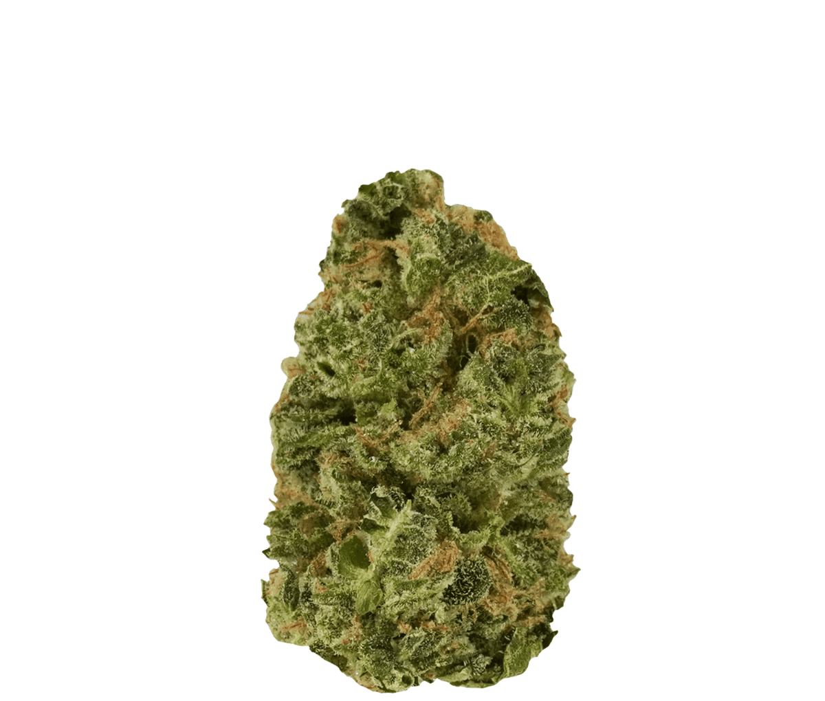 Medicus 27/1 EZA DSD Do-Si-Dos Medicus 27/1 EZA DSD Do-Si-Dos