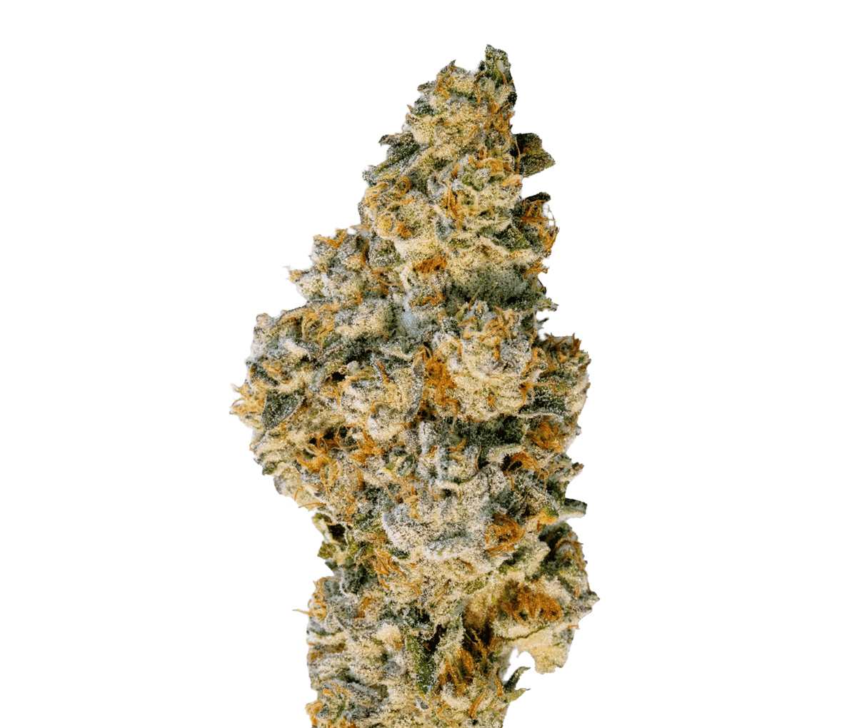 Demecan RF EPIC DROP 30:01 - 98 Aloha White Widow x Trainwreck Demecan RF EPIC DROP 30:01 - 98 Aloha White Widow x Trainwreck