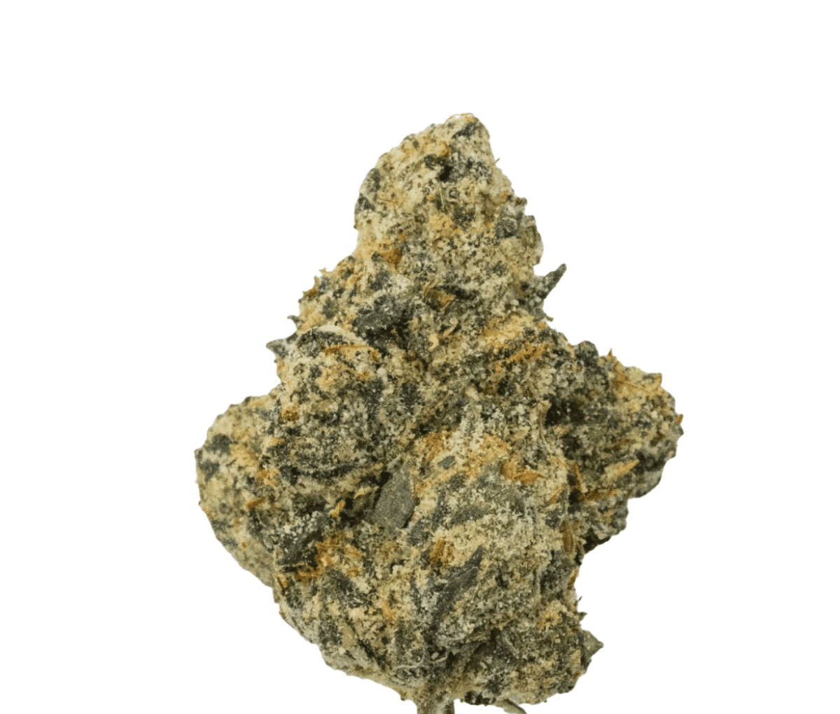 MC Regular Drop 25/1 - Divorce Cake x Jungle Cake MC Regular Drop 25/1 - Divorce Cake x Jungle Cake