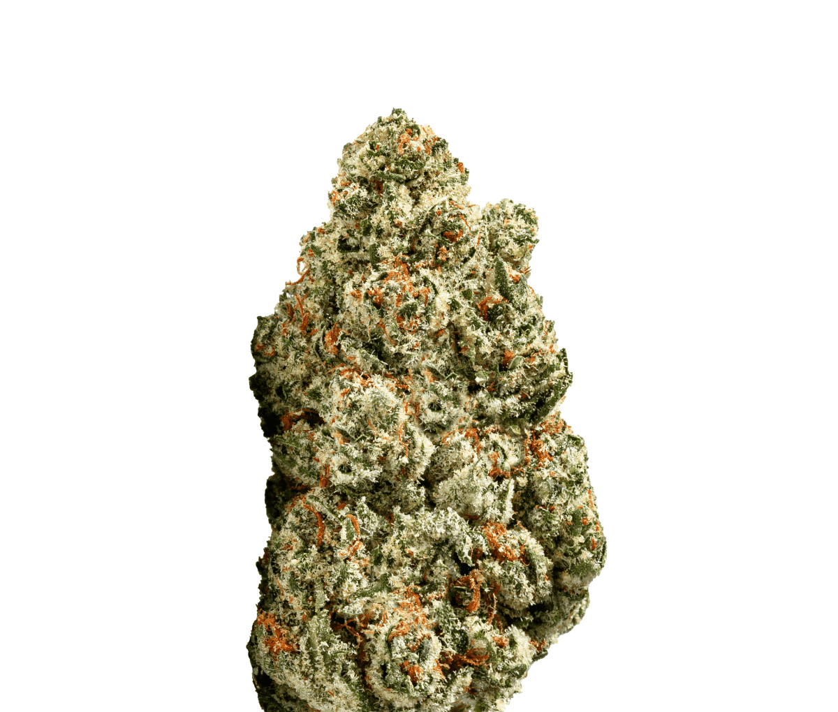 ZOIKS 26/1 SR Space Rider ZOIKS 26/1 SR Space Rider