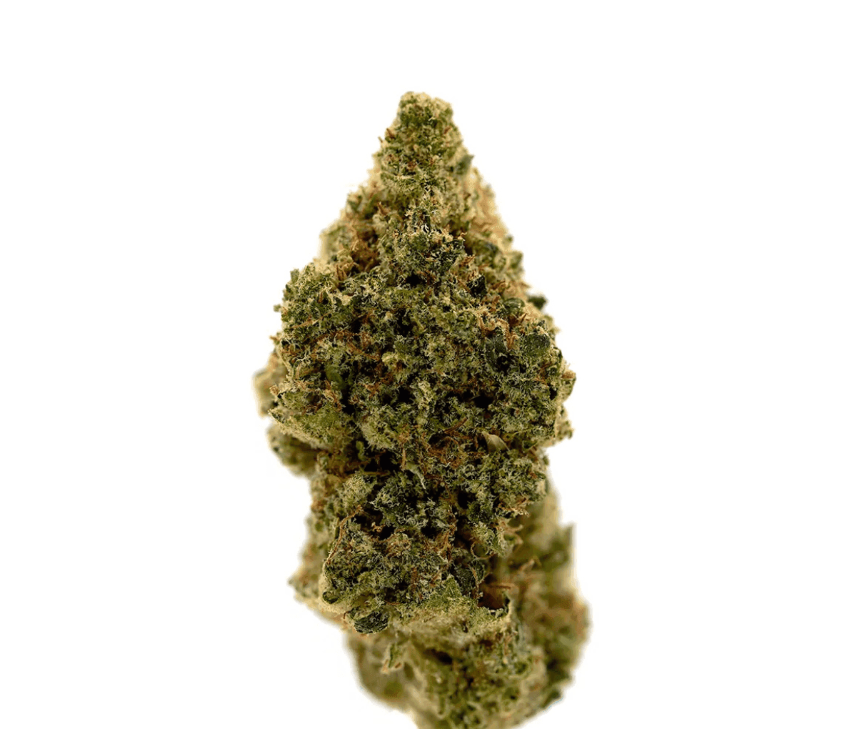 Remexian 30/1 PGF CIS Citrus Spritz Remexian 30/1 PGF CIS Citrus Spritz