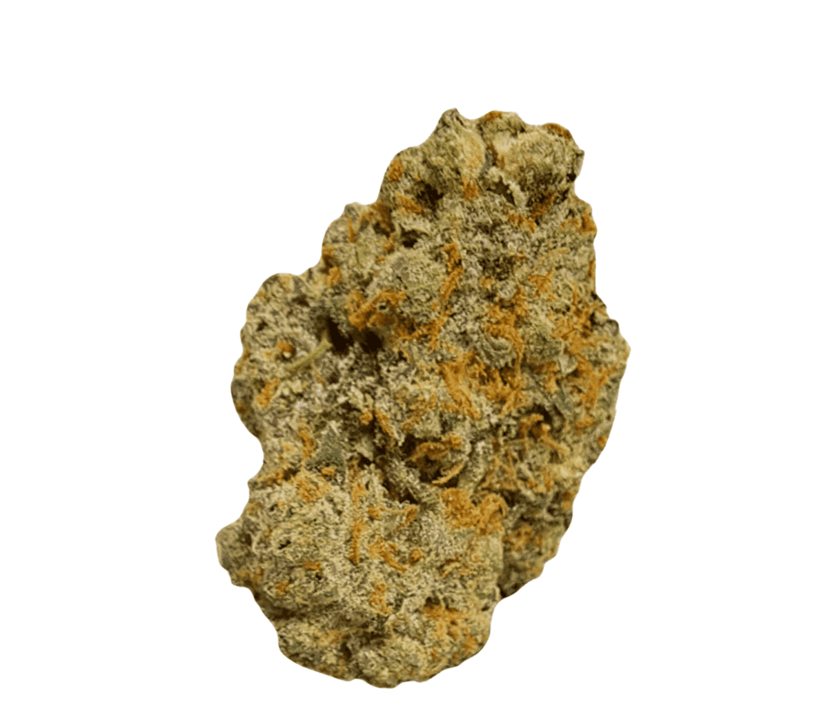 Huala 22/1 UK CIN - Cinderella Kush