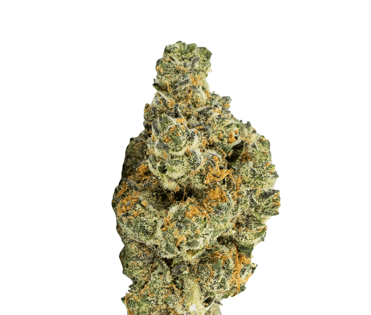 IMC Cannabisblüten AT THC25 - Apple Tartz IMC Cannabisblüten AT THC25 - Apple Tartz
