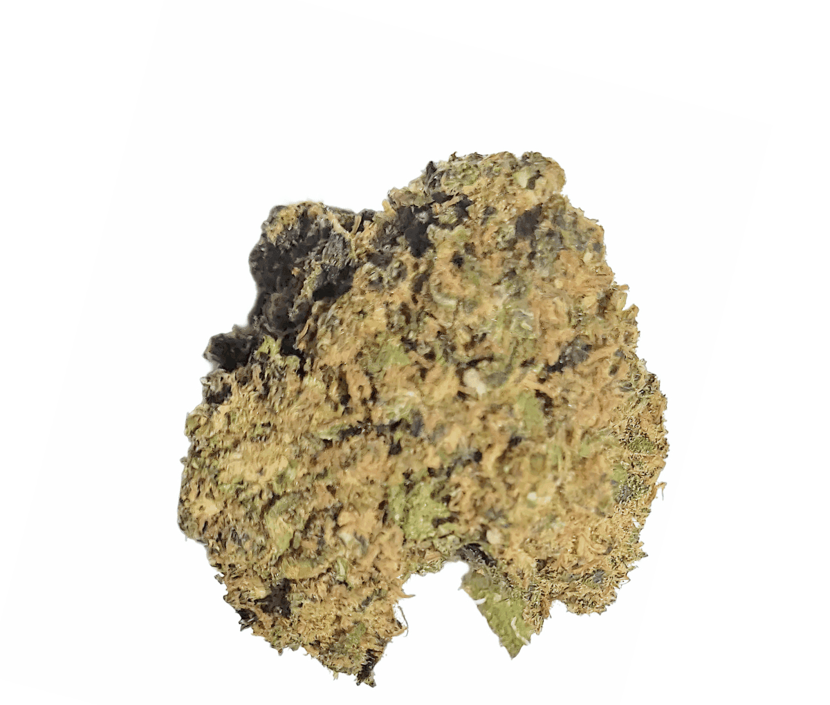 Canopy JH 21/1 - Jack Haze Canopy JH 21/1 - Jack Haze