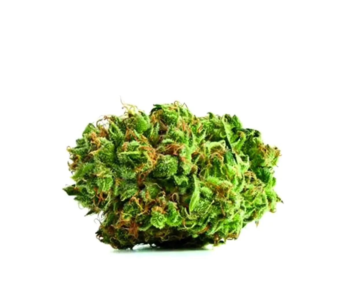 Canopy Bakerstreet 22/1 - Hindu Kush Canopy Bakerstreet 22/1 - Hindu Kush