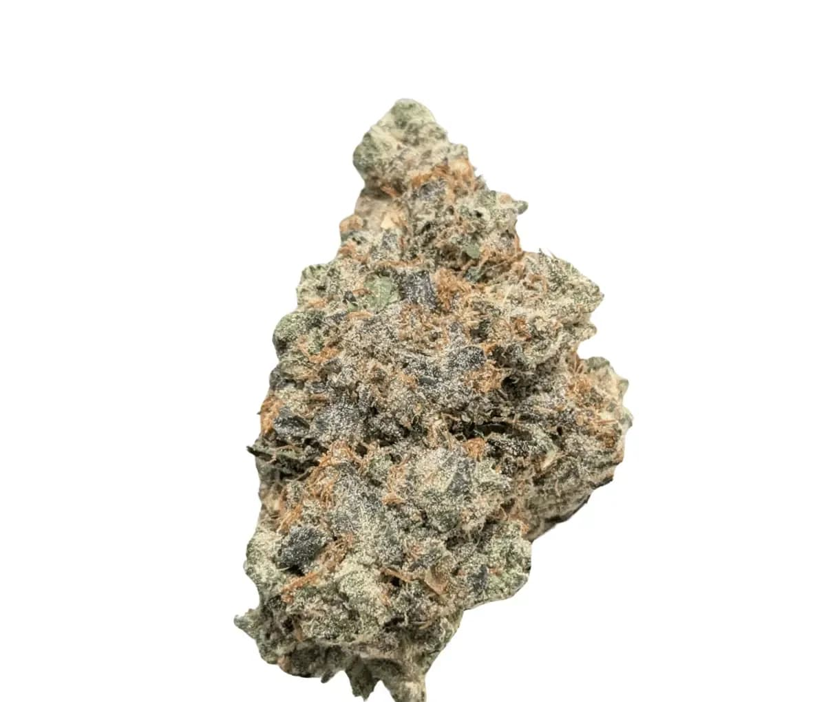 Bathera 33/1 PP - Polar Pop