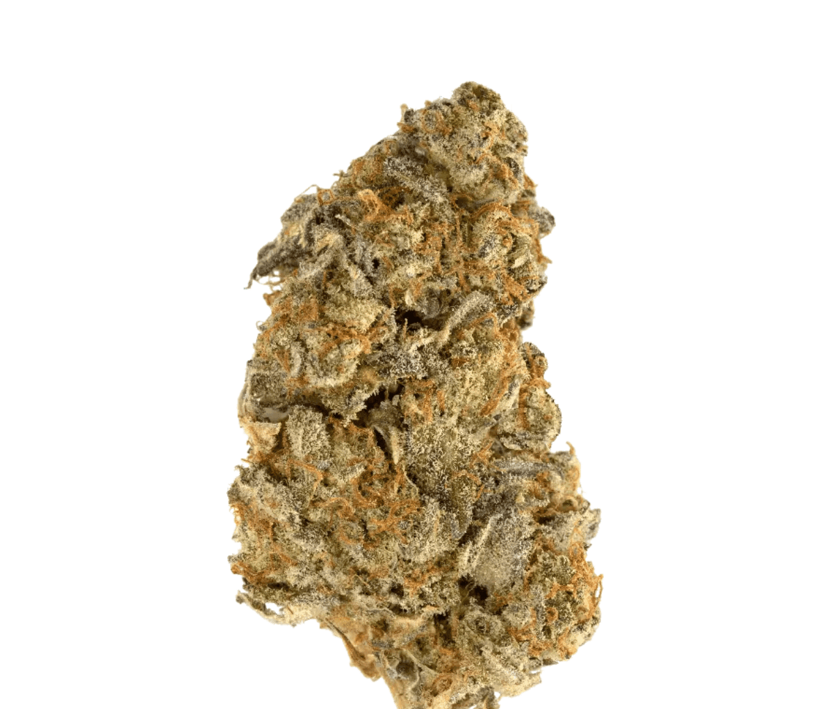 Drapalin 27/1 Full Gas - Mandarin Sunset x Ethos Cookies Drapalin 27/1 Full Gas - Mandarin Sunset x Ethos Cookies