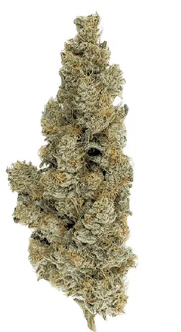 420 Evolution 30/1 CA ICC - Ice Cream Cake x Kushmints