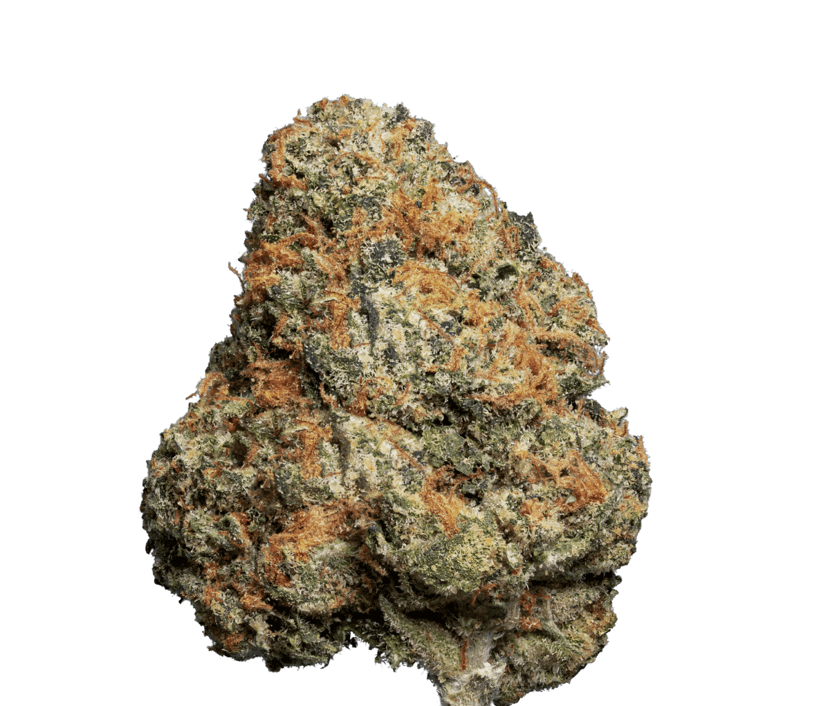 enua 22/1 JFG CA - Jet Fuel Gelato