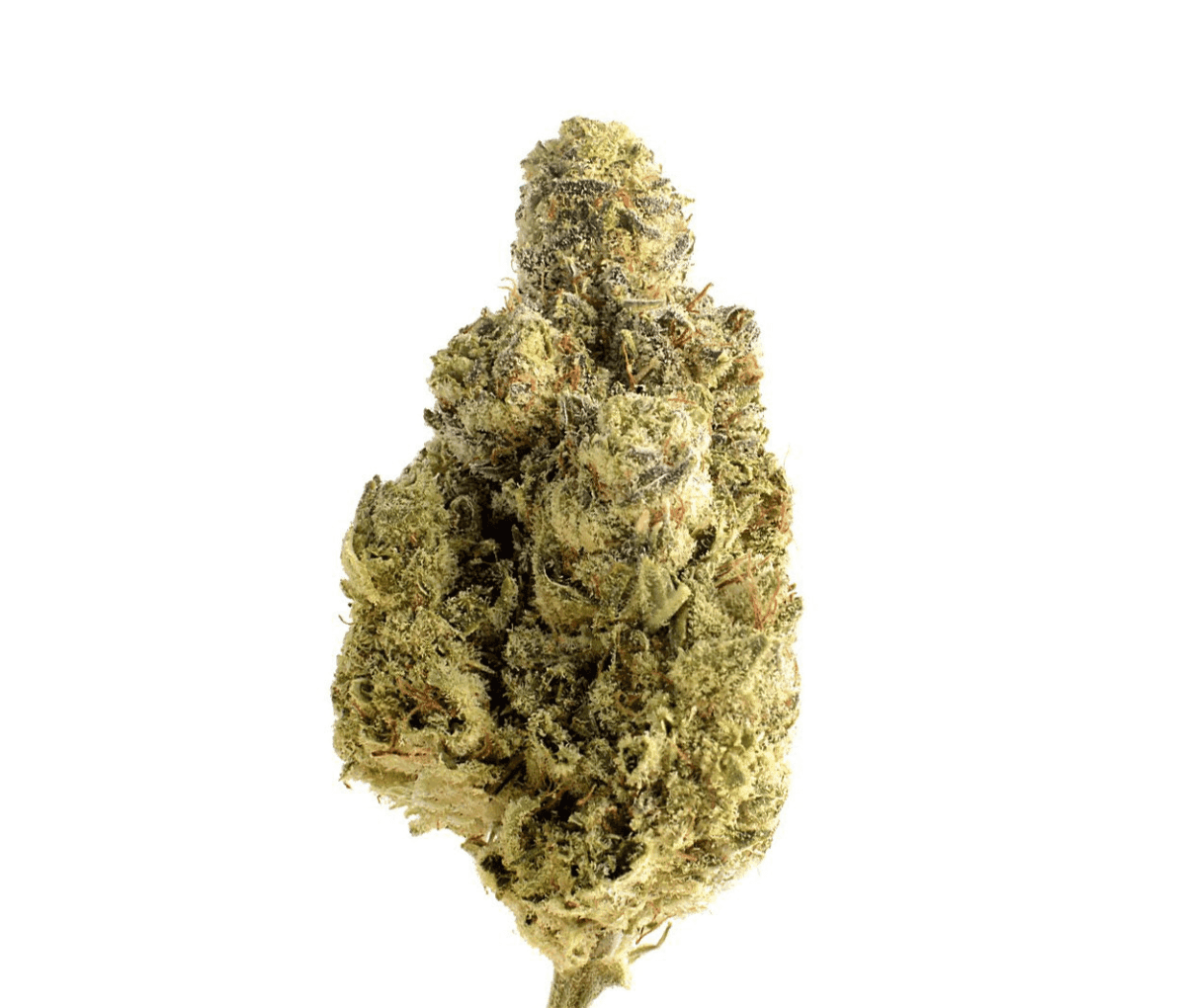 IMC MK THC27 Token - Thai Kush IMC MK THC27 Token - Thai Kush