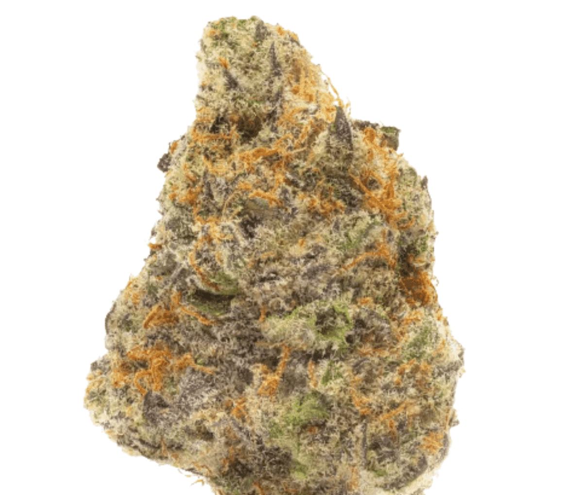 Beacon WP T25 - Blueberry Pancakes