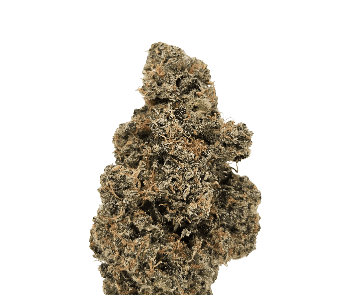 Drapalin 29/1 Cape Canaveral - Girl Scout Cookies x Mandarin Sunset Drapalin 29/1 Cape Canaveral - Girl Scout Cookies x Mandarin Sunset