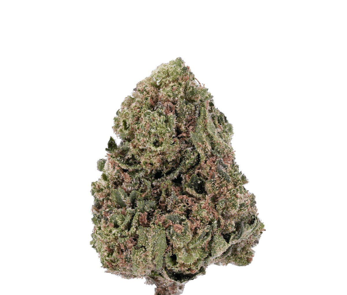 IMC FAC THC26 Selected Tangie Pave IMC FAC THC26 Selected Tangie Pave