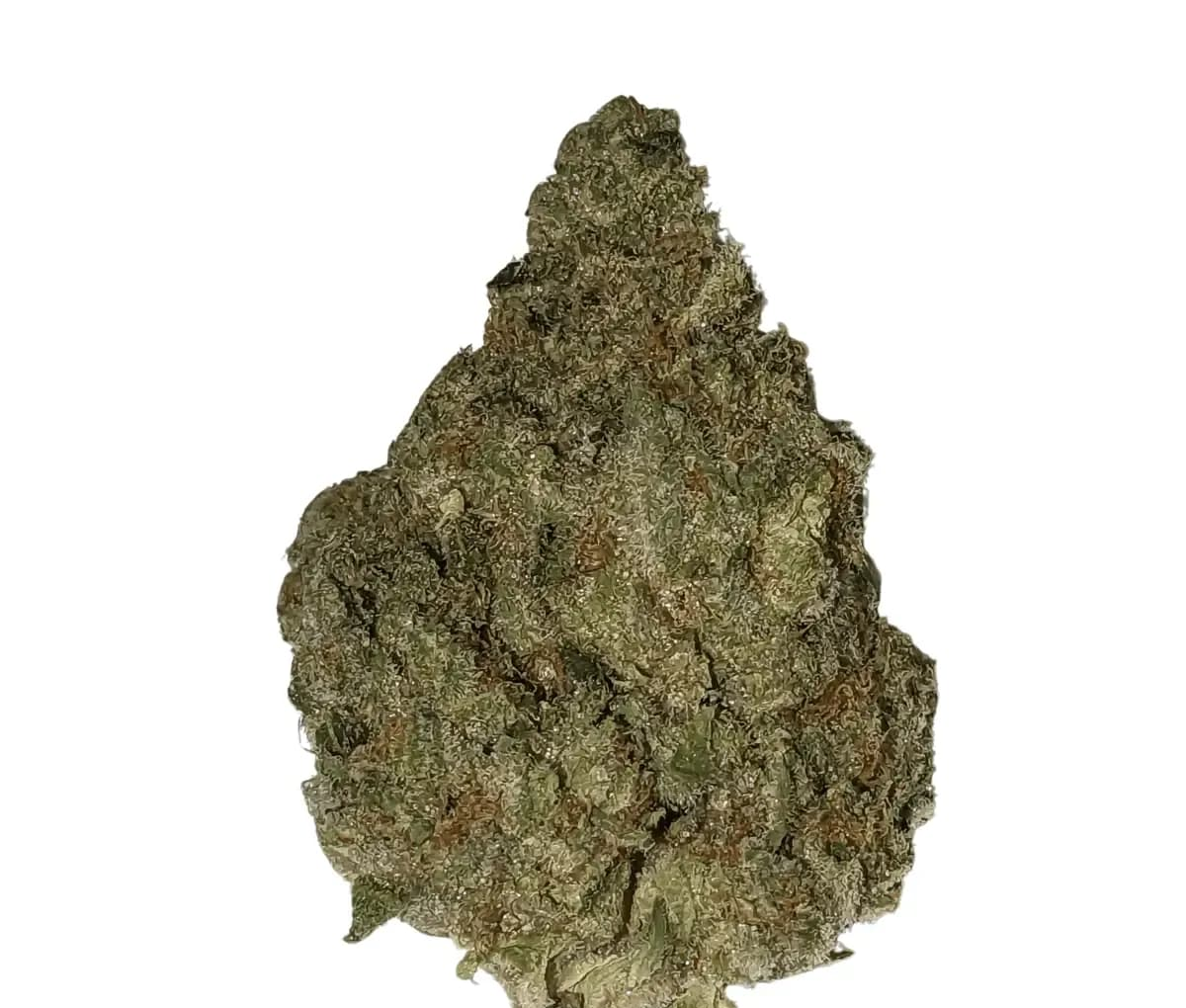 Demecan Craft D-Jungle 28:01 - Purple Punch x Jungle Cake Demecan Craft D-Jungle 28:01 - Purple Punch x Jungle Cake