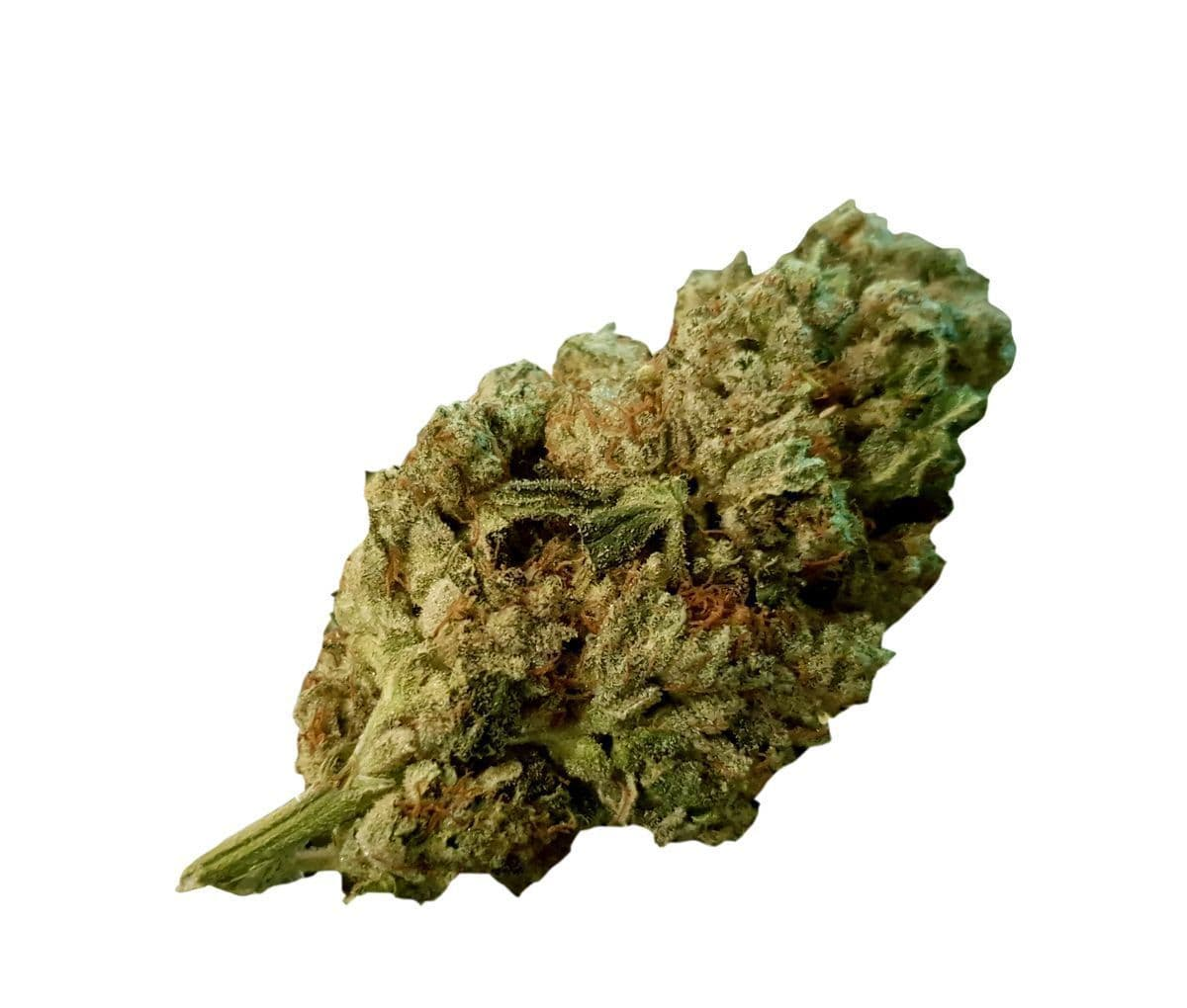 Remexian 30/1 SIU GG4 Gorilla Glue Remexian 30/1 SIU GG4 Gorilla Glue