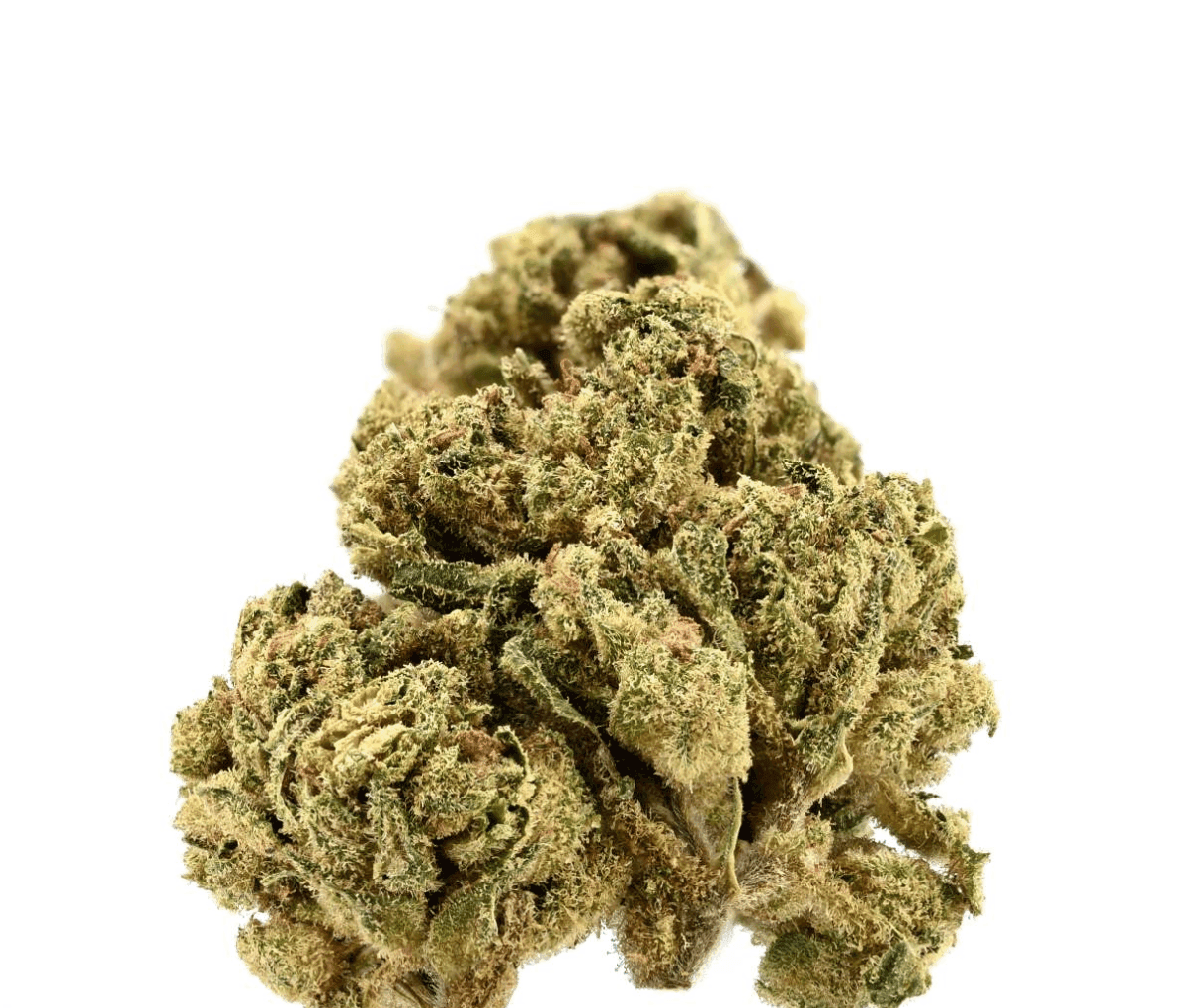 TRUU HS 26:01 - Citron Cookies TRUU HS 26:01 - Citron Cookies