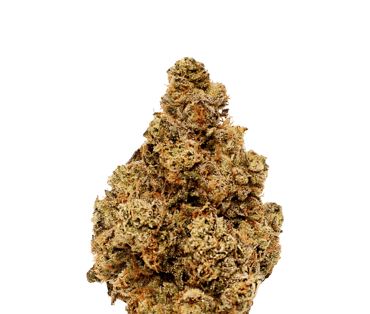 LOT 420 GLOC - Gelato x Orange Cake