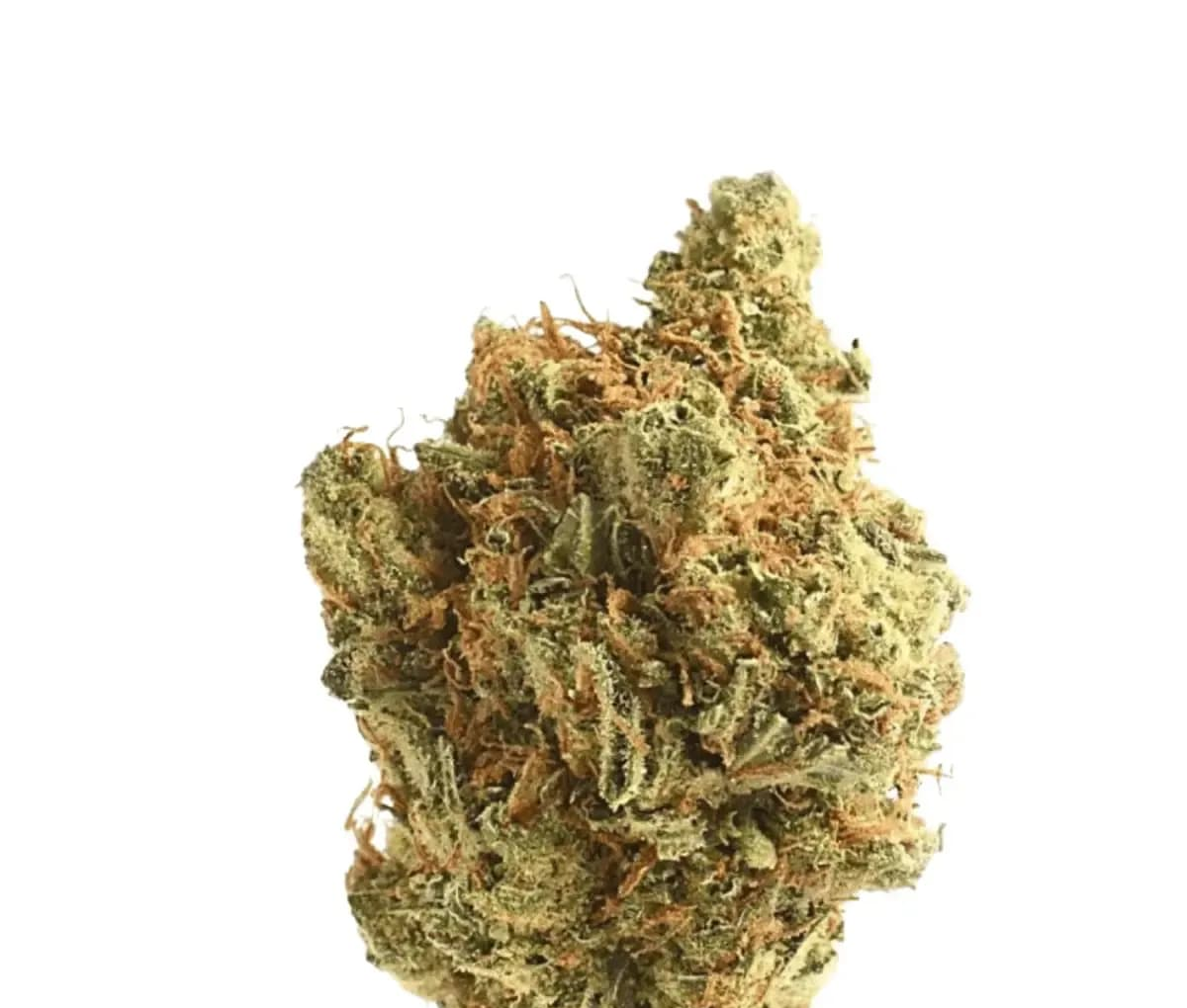 Remexian 18/1 LUX AMA - Amsterdam Amnesia