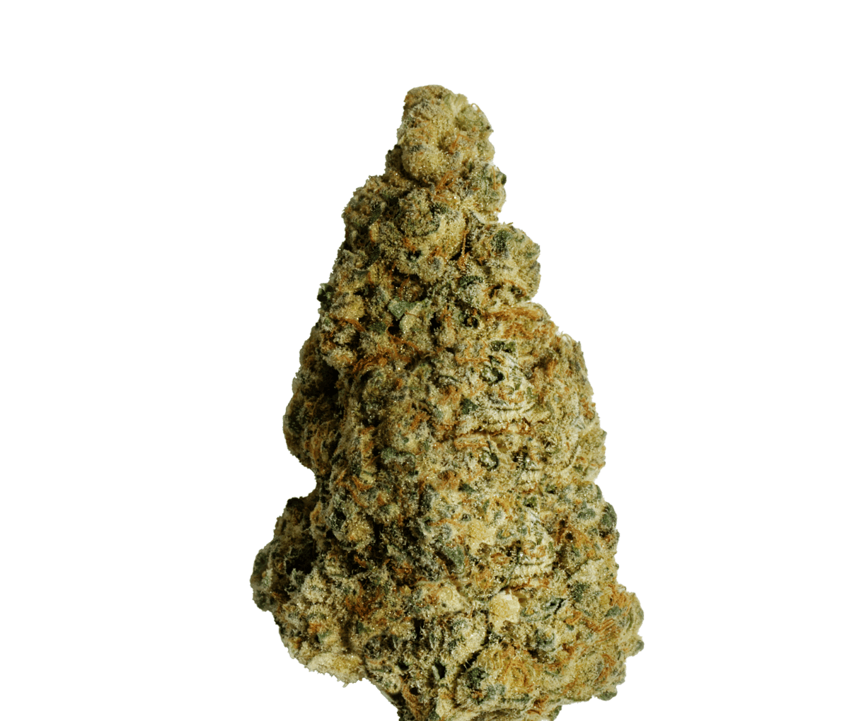 ZOIKS 26/1 BB - Ben & Berries