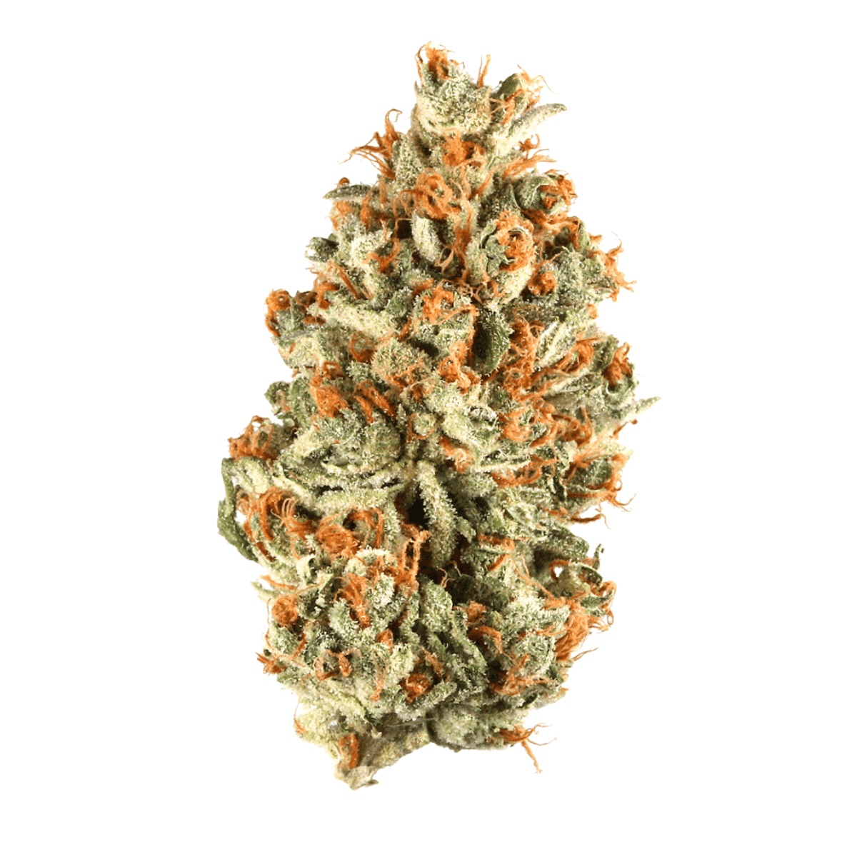 enua 30/1 TPM CA - Tropical Meltdown enua 30/1 TPM CA - Tropical Meltdown