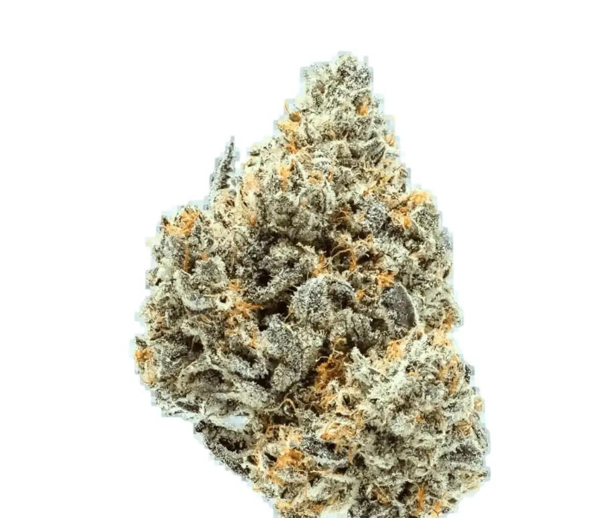 Remexian 24/1 PRT SCK - Strawberry Cookies Remexian 24/1 PRT SCK - Strawberry Cookies