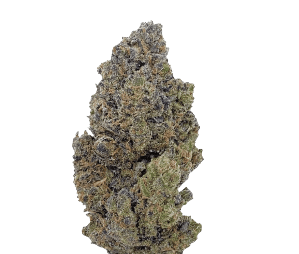 Together Pharma 25/1 - Wedding Cake