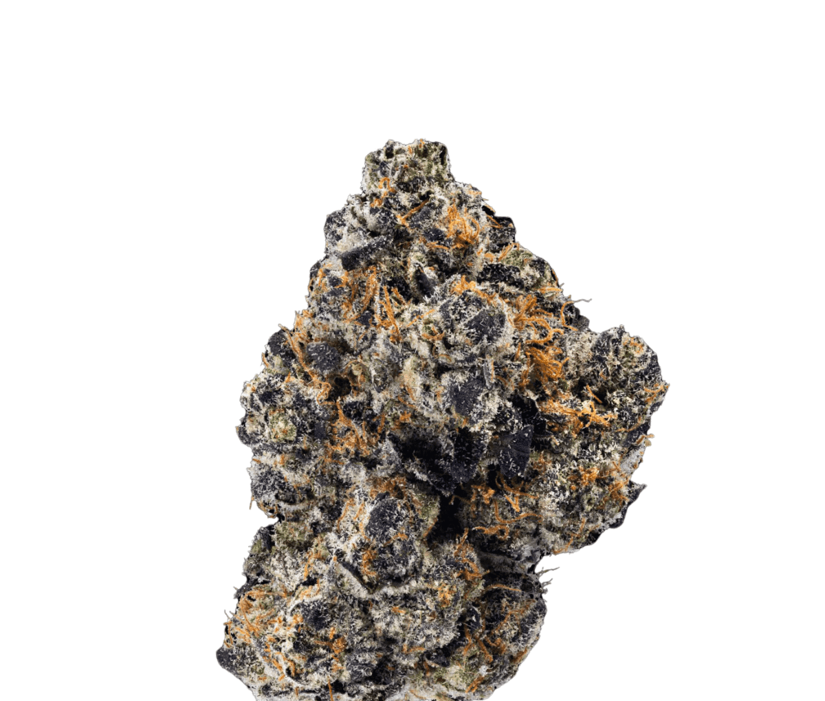 Enua 25/1 SJ CA - Splitter Jelato