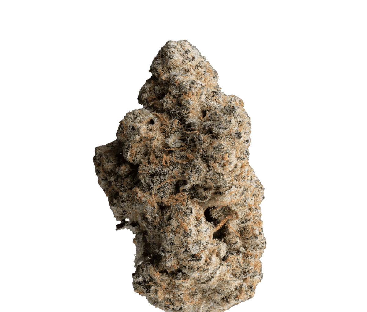 GrowMotion TJ27 - Tricho Jordan