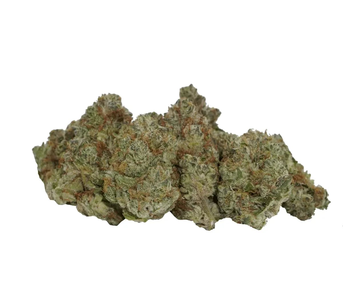avaay Signature 29/1 OGC - Ocean Grown Cookies avaay Signature 29/1 OGC - Ocean Grown Cookies