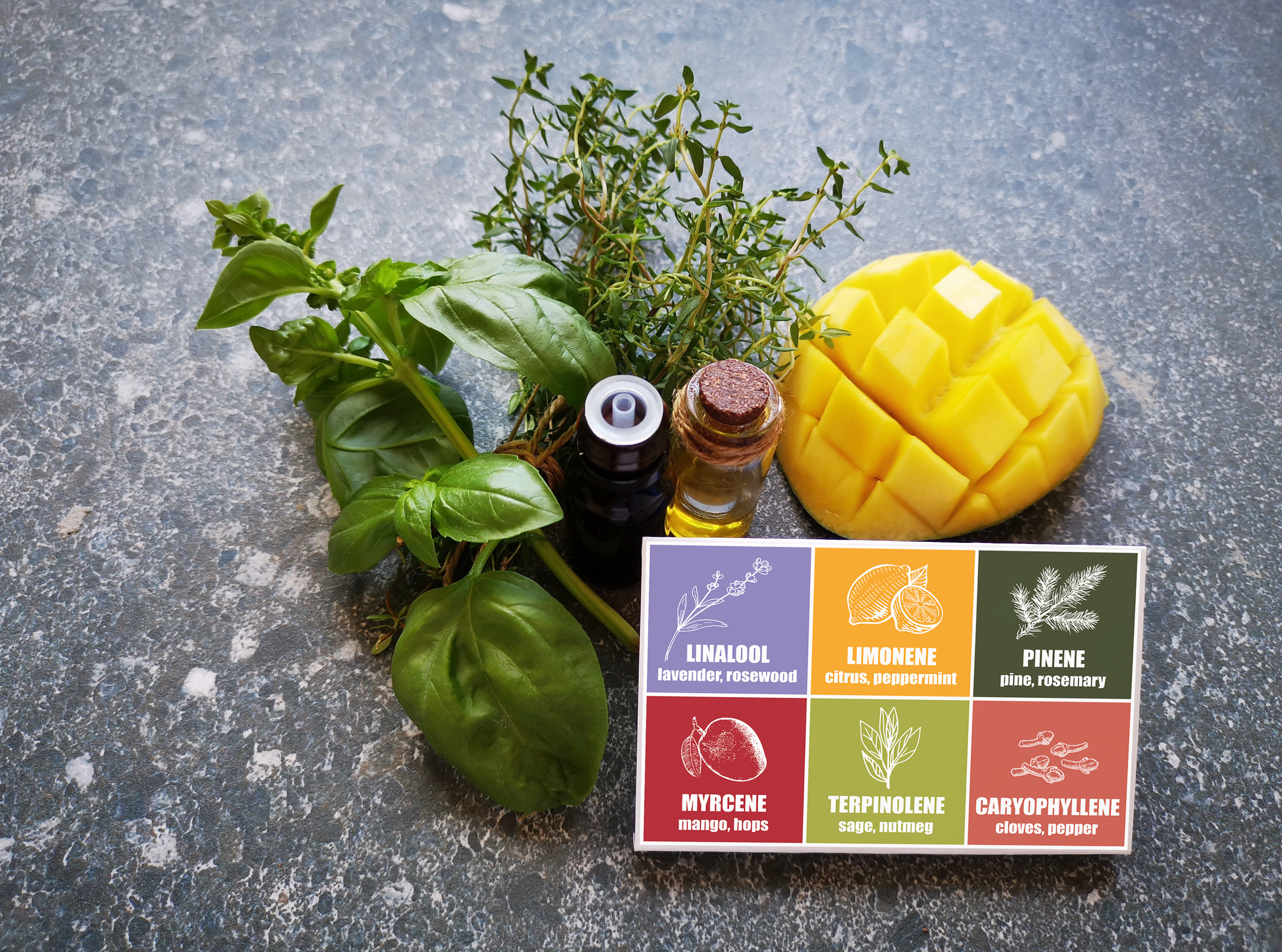 Terpene_Cannabis_Versandapotheke_Herbery Bild im Zusammenhang mit 'terpene cannabis versandapotheke herbery'