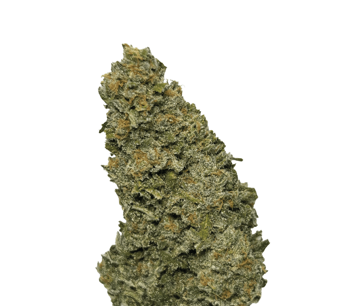 Wellford Aquaponic 23/1 GTH