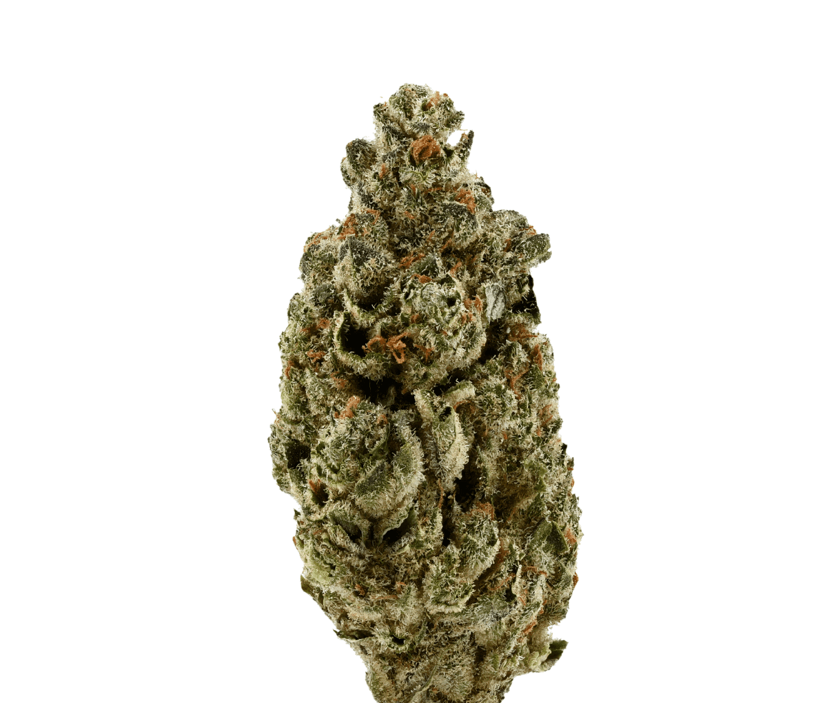 Demecan SC Low Drop Creamy Kees - Creamy Kee's No.5 Demecan SC Low Drop Creamy Kees - Creamy Kee's No.5