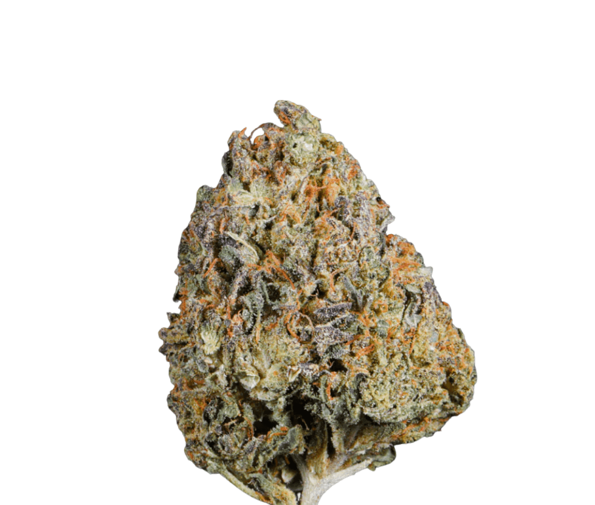 Green Karat PF 22/1 Permanent Fruz Green Karat PF 22/1 Permanent Fruz