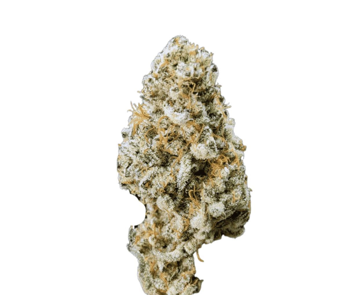 Demecan CRAFT Walkie Talkie 31:01 - Sugar Cake Demecan CRAFT Walkie Talkie 31:01 - Sugar Cake