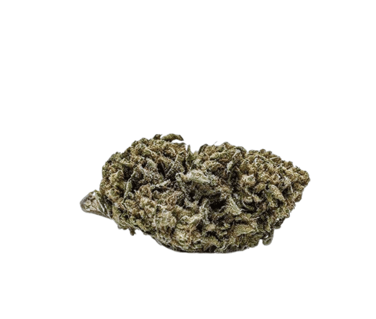 Tweed - Balanced - Caramel 6/8 Tweed - Balanced - Caramel 6/8