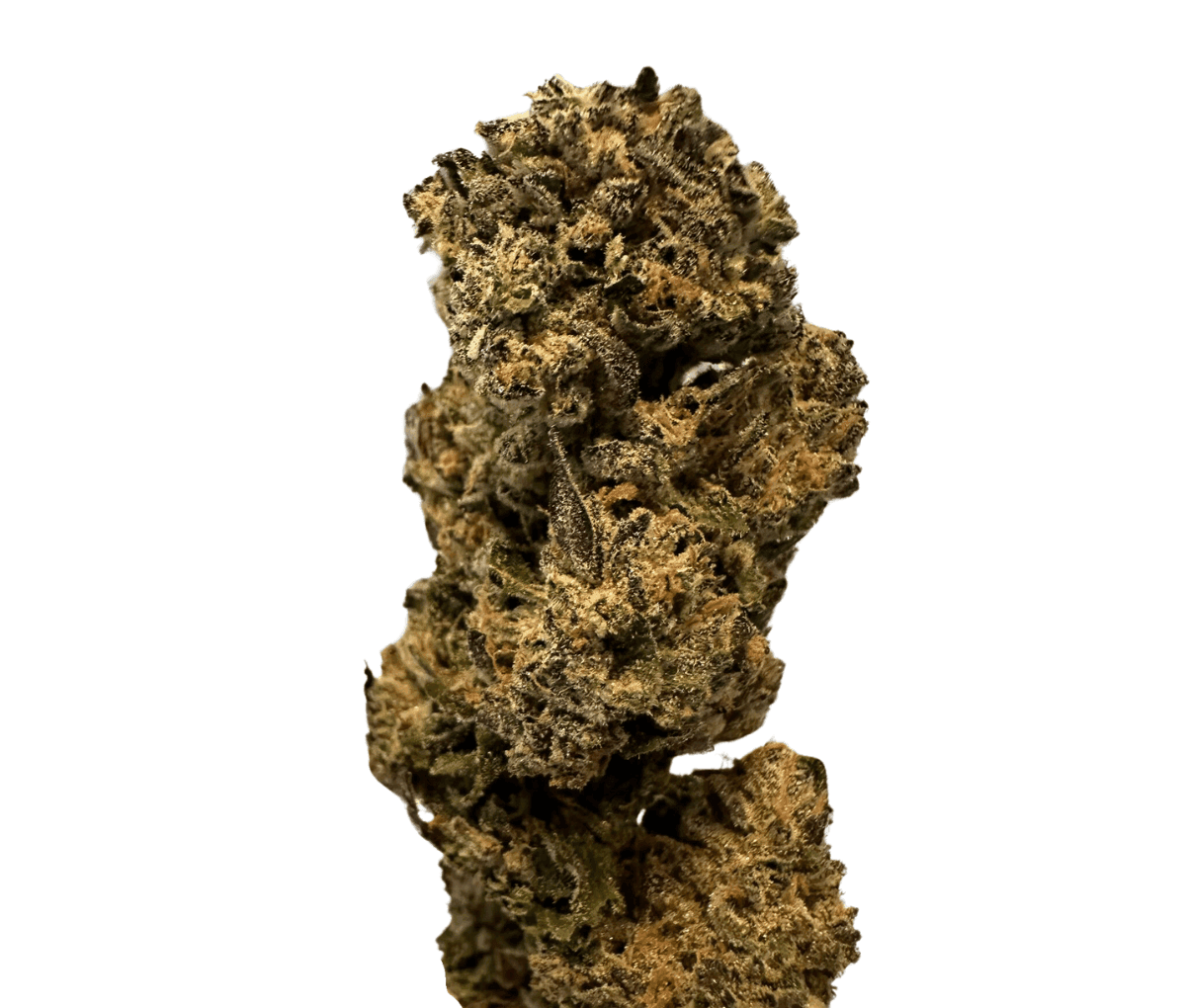 Mediprocan Simba 25/1 - Purple Panther