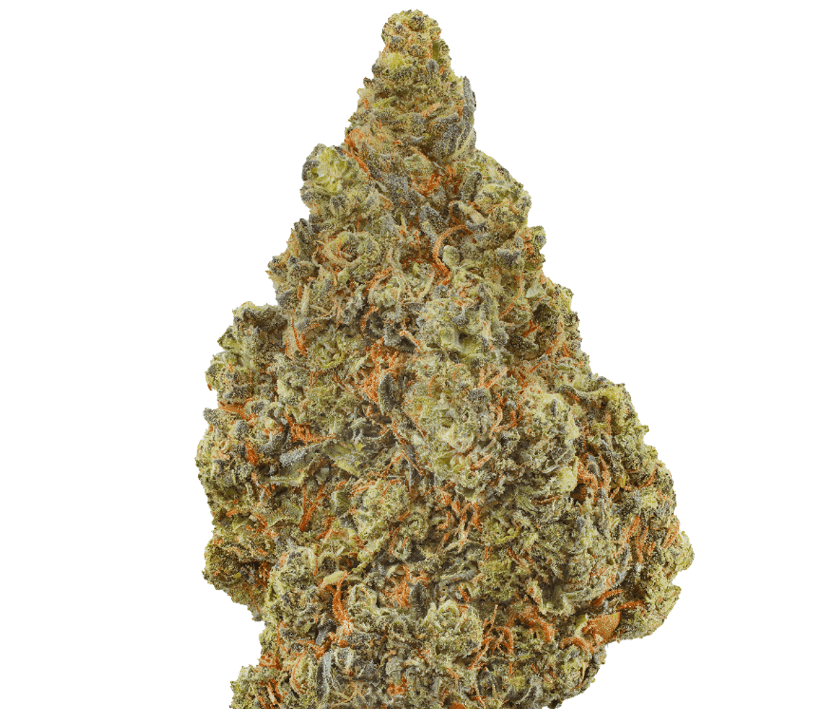 Tilray Craft THC 28 AMH - Amnesia Haze