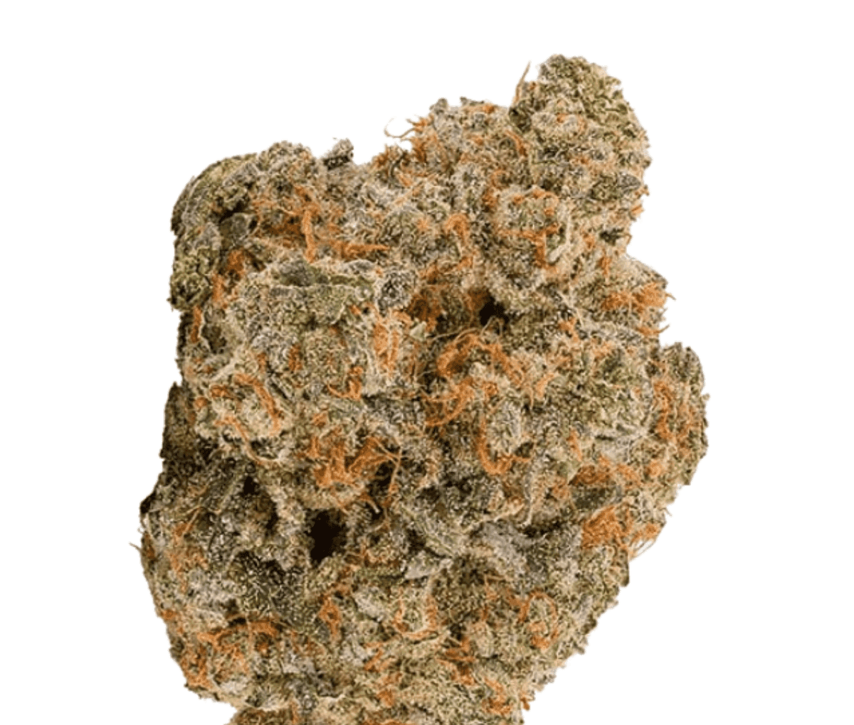 Bathera 28/1 BZ - Blue Z