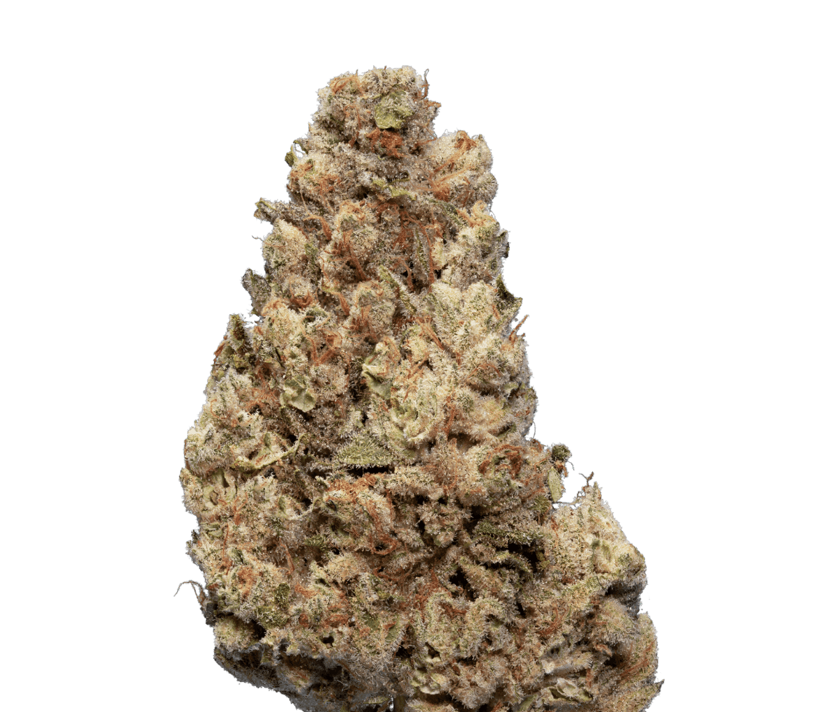 Enua 25/1 CCK CA - Cold Creek Kush