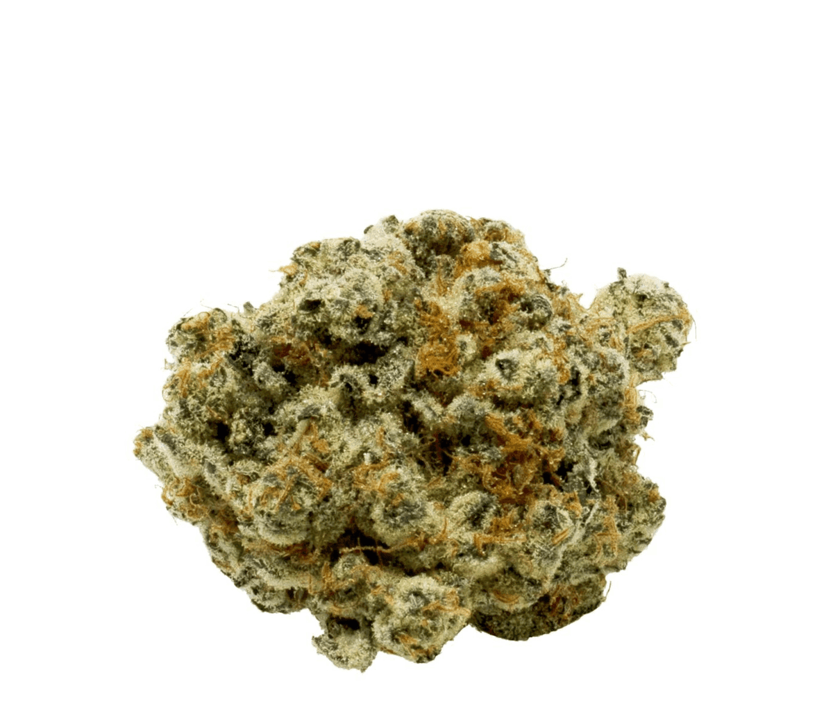 Canopy OGD 25/1 - OG Deluxe