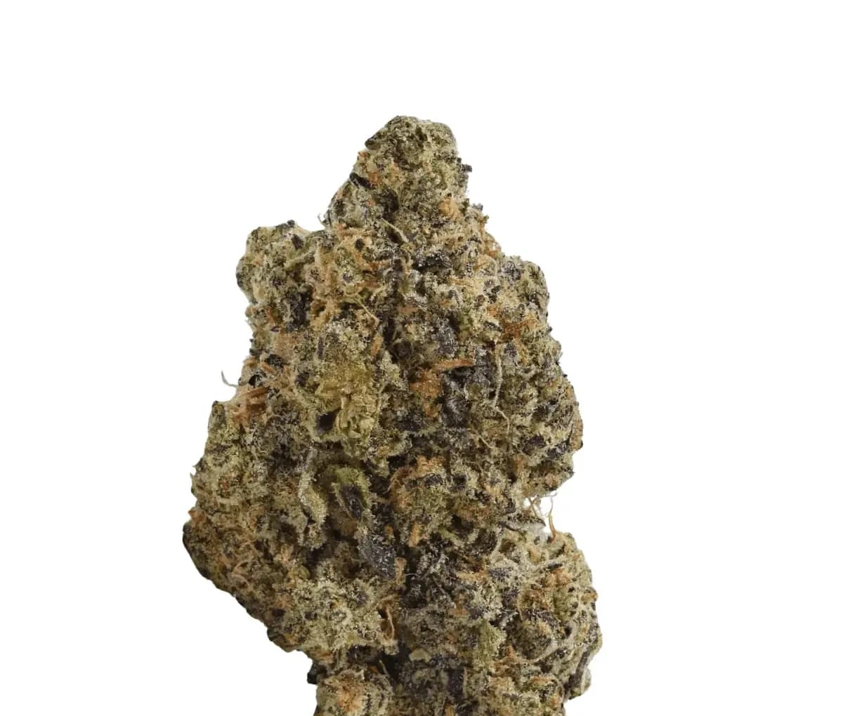 TRUU GT 22:01 - Crumbled Lime 27 TRUU GT 22:01 - Crumbled Lime 27