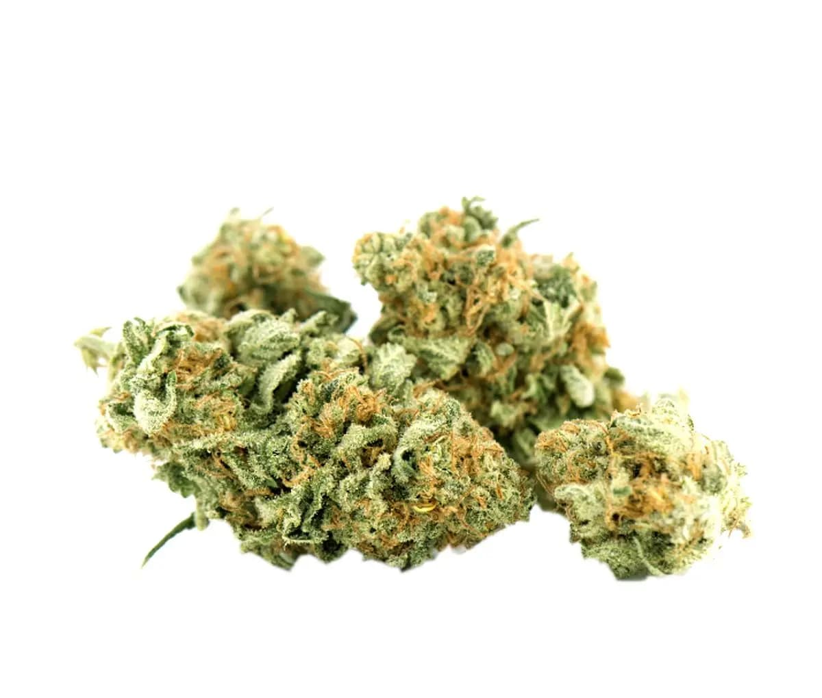 Tilray THC18 Spotlight Porto 18/1 - White widow
