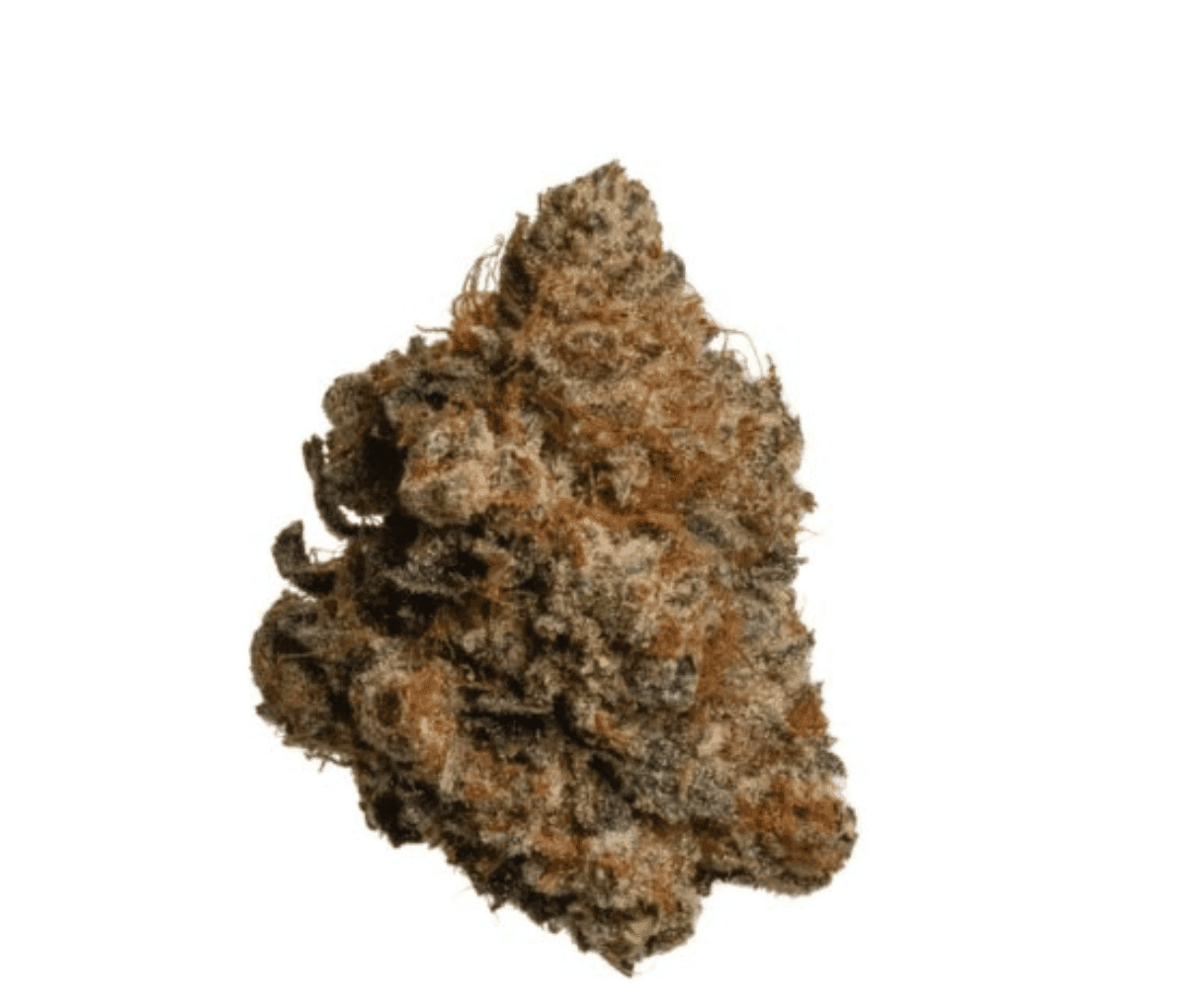 Demecan Core Cros 29:01 - Crossbow Demecan Core Cros 29:01 - Crossbow