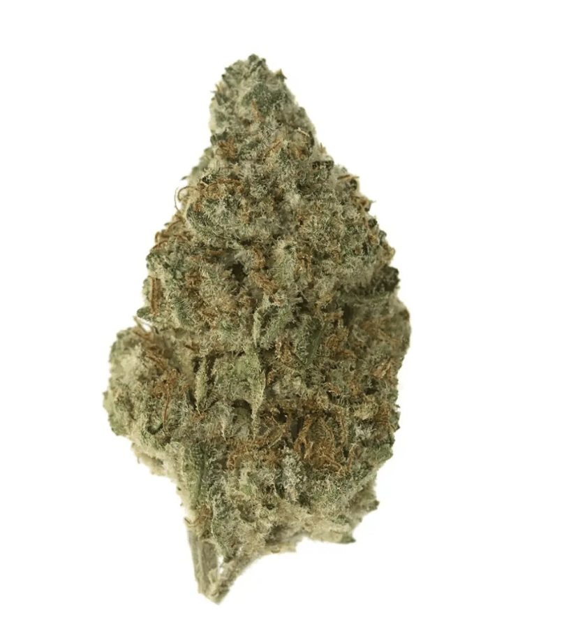 Remexian 20/1 GJY FCO - Frosted Cookies