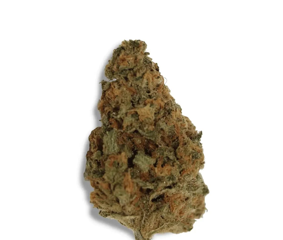 Khiron SLH 26/1 - Super Lemon Haze Khiron SLH 26/1 - Super Lemon Haze