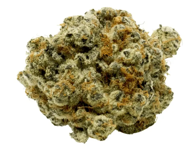 Canopy OGD 25/1 - OG Deluxe